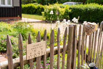 Apartamento para 5 Personas en Born a. Darß, Born am Darß, Foto 2