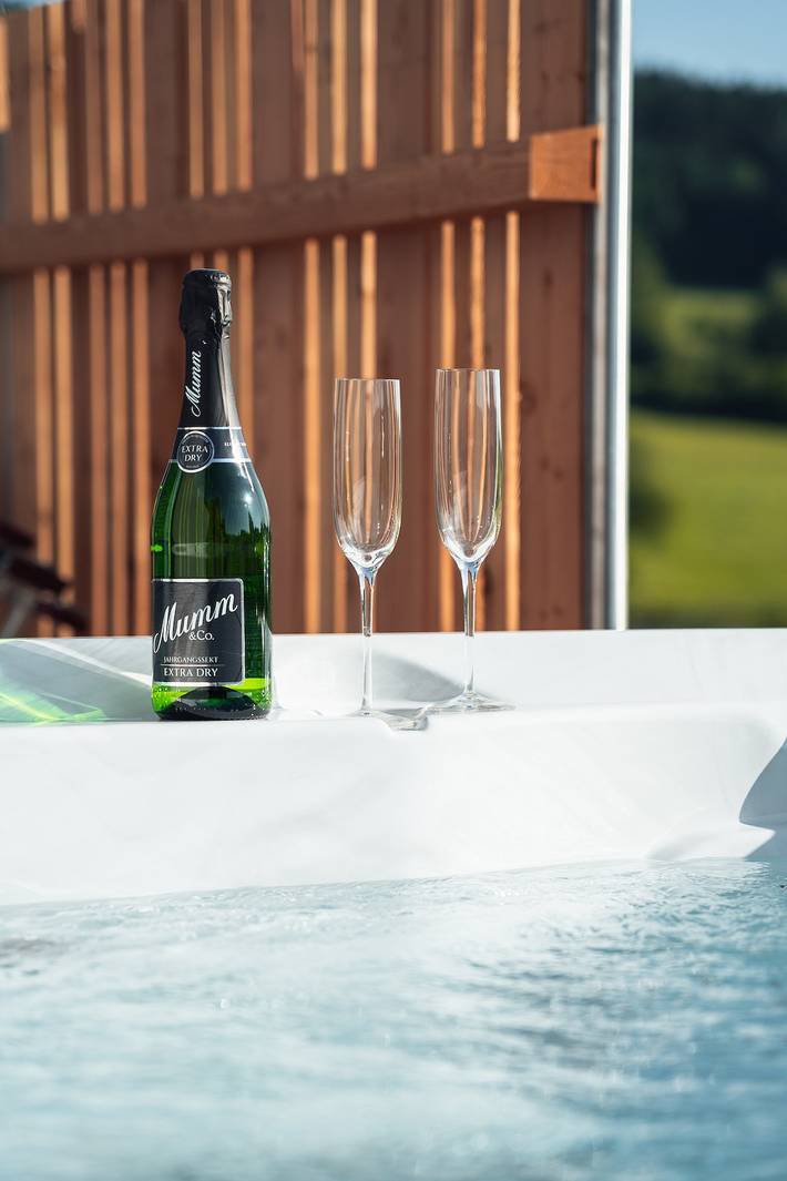 Ferienhaus für 4 Personen, mit Pool und Balkon sowie Sauna und Balkon/Terrasse in Naturpark Oberpfälzer Wald - 3