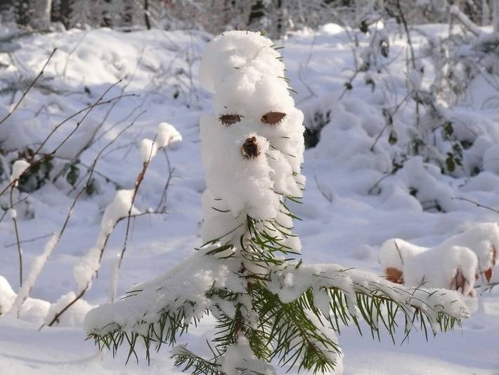Ferienwohnung für 3 Personen in Altes Land Stade - 3