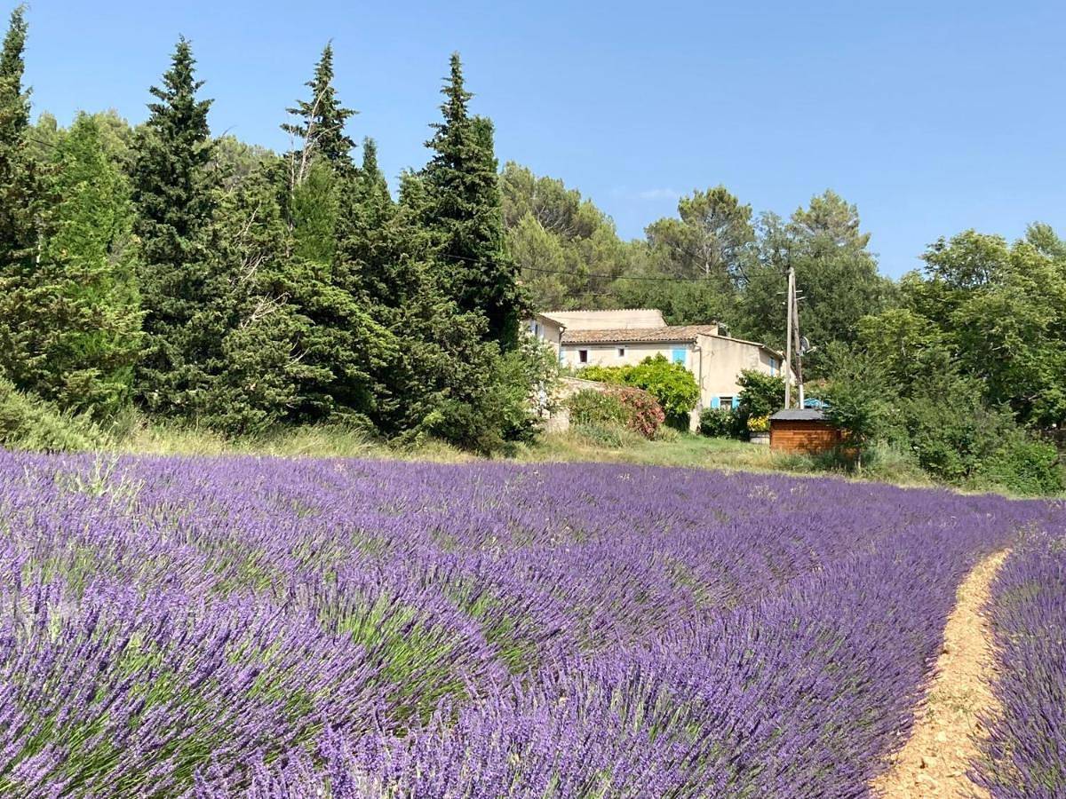 Maison au Colorado Provençal in Rustrel, Parc naturel régional du Luberon