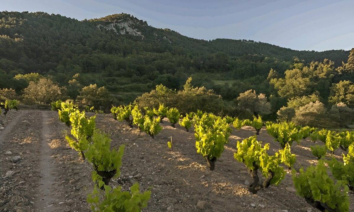 Au Soleil du Bonheur - Chambre Deux in Lafare, Vaucluse