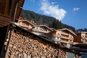 Chalet pour 6 Personnes dans Les Carroz, Grand Massif, Photo 3