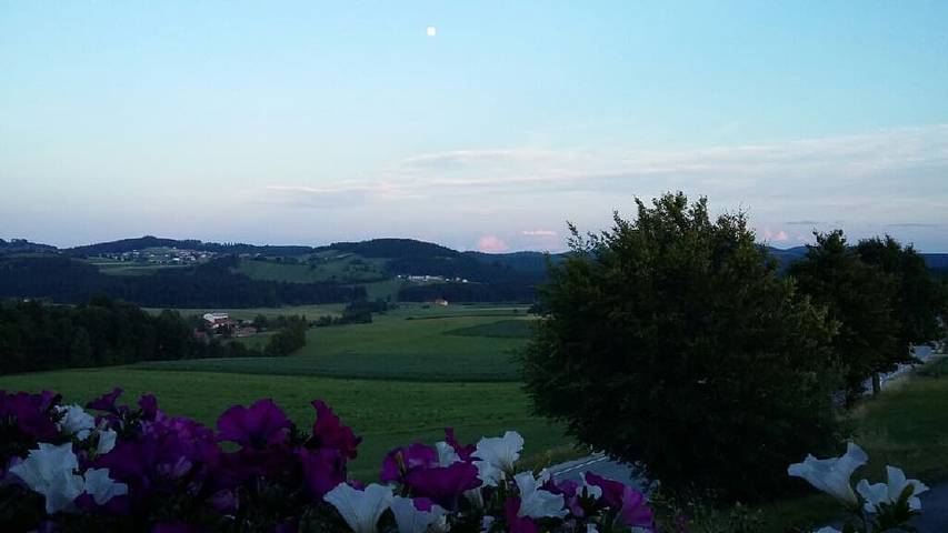 Gîte pour 5 personnes, avec piscine et jardin à Wegscheid - 2