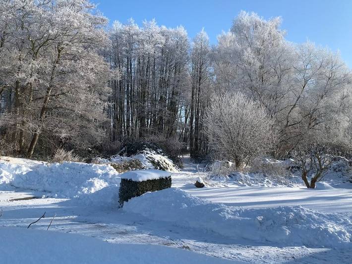 Ferienwohnung für 4 Personen, mit Sauna und Garten sowie Seeblick in Kölpinsee - 4