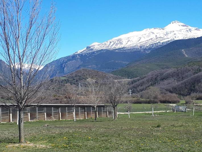 Location de vacances pour 3 personnes, avec terrasse et jardin à Castiello de Jaca - 4