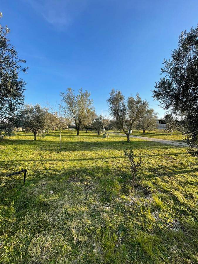 19th century Trullo Raeda in the middle of nature in Nardò, Galatone