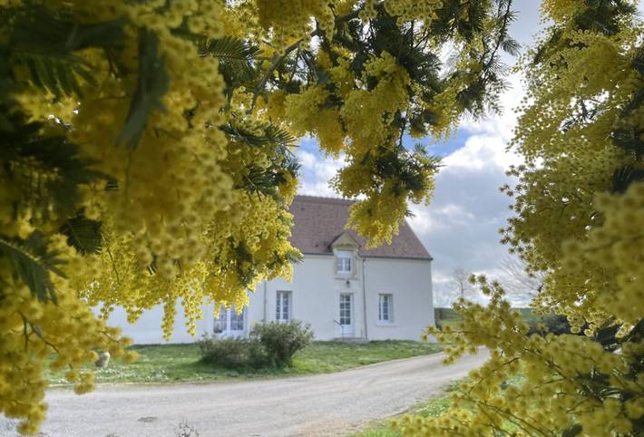 Gîte pour 2 personnes, avec terrasse et jardin dans le Cher - 2