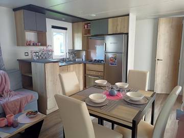 Camping pour 6 personnes, avec bassin pour enfant et vue ainsi que piscine et terrasse, animaux acceptés à La Tremblade