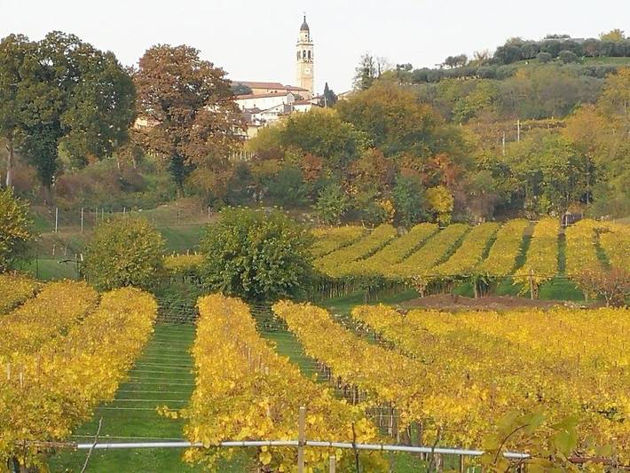 Location de vacances pour 3 personnes, avec jardin et piscine à Colognola ai Colli - 2