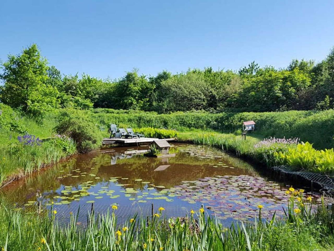 Ganze Ferienwohnung, Landidylle Kramer in Utarp - Ferienwohnung Mohnblume in Utarp, Landkreis Wittmund