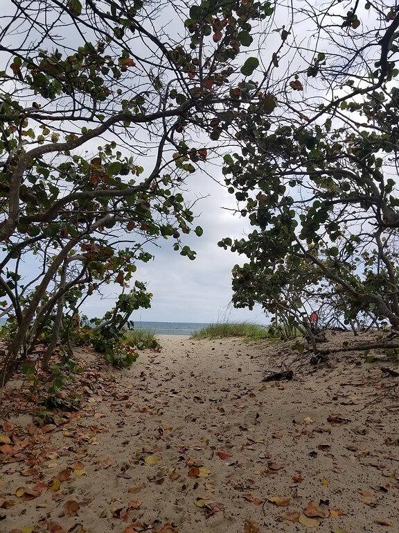 Ganze Wohnung, Beach Block Bungalow, alles was man für einen tollen Kurzurlaub braucht. Ruhig und sicher in Pompano Beach, Broward County