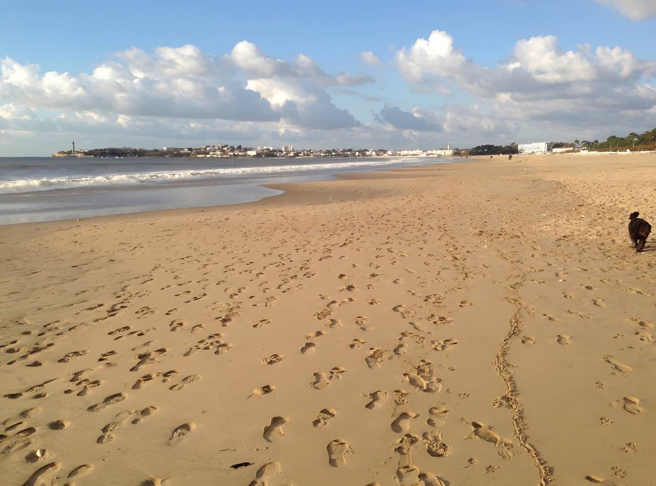 Chambre d'hôtes 'Le Pommier - Bed and Breakfast' avec Wi-Fi in Saint-Georges-de-Didonne, Côte de Beauté