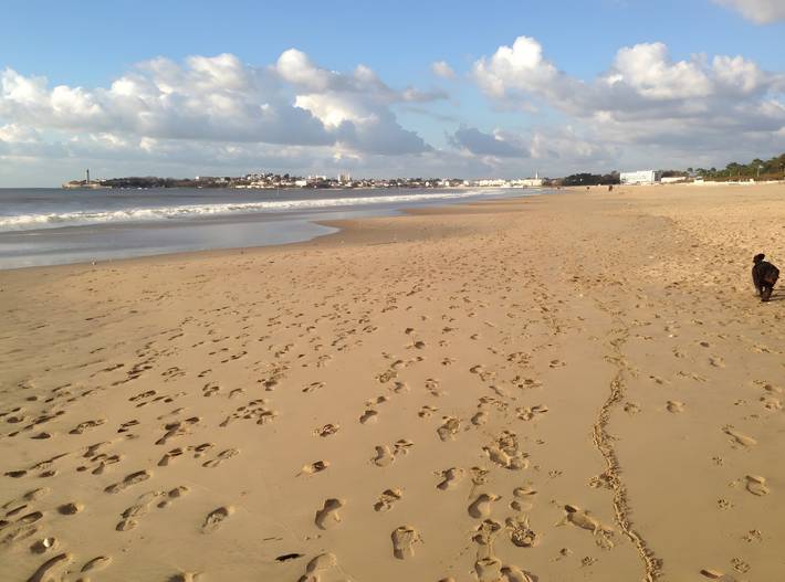 Location de vacances pour 2 personnes, avec jardin, animaux acceptés à Saint-Georges-de-Didonne - 4