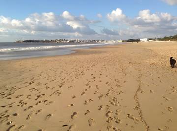 Chambre D’hôte pour 2 Personnes dans Saint-Georges-de-Didonne, Région de Rochefort, Photo 3
