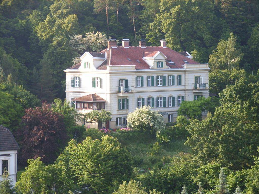 Hotel Garni - Waldpension Mück - Einzelzimmer Waldseite in Gars am Kamp, Weinviertel