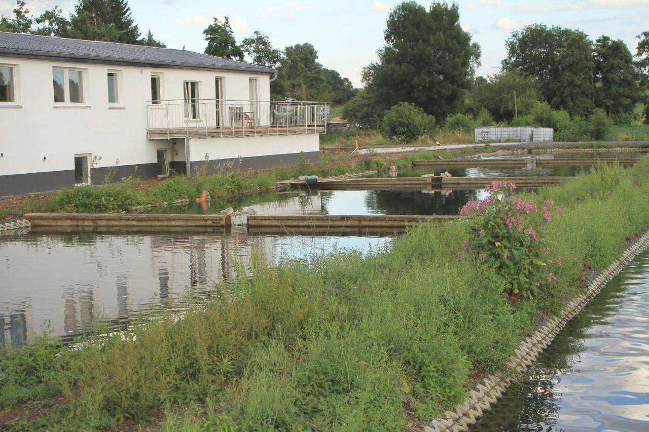 Ganze Wohnung, Ruhige Ferienwohnungen mit Teichblick in Laubach, Vogelsberg Region