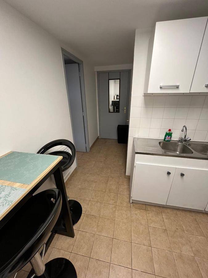 Logement paisible en bord de Vienne in Bonneuil-Matours, Vienne (France)