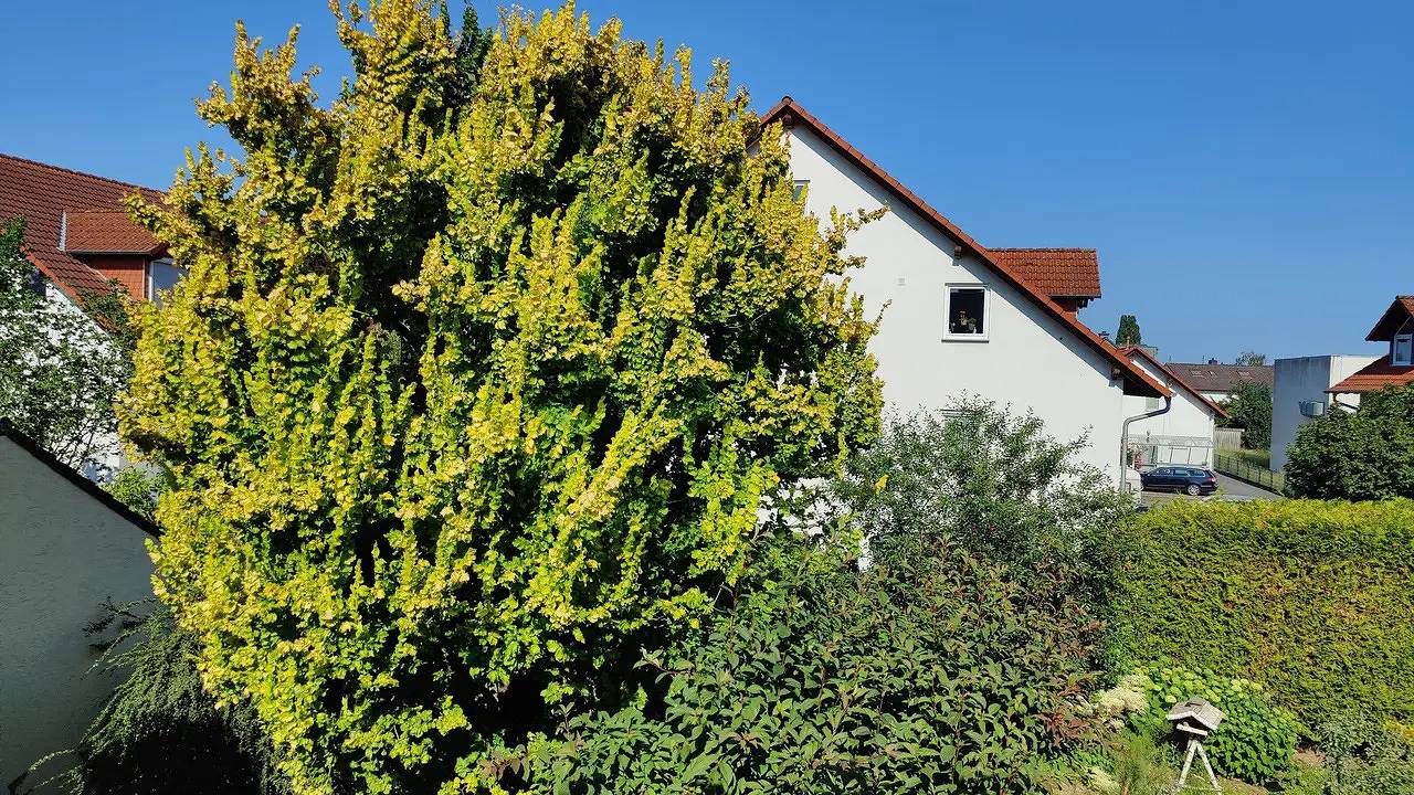 Ganze Ferienwohnung, Ferienwohnung für 4 Personen (84 m²) in Groß-Umstadt in Groß-Umstadt, Main-Odenwald