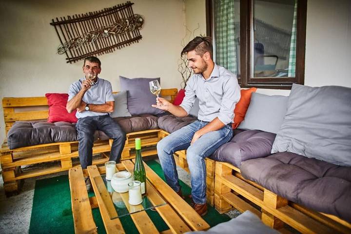 Apartamento entero, Apartamento de vacaciones para 2 personas con terraza in Rohrendorf bei Krems, Bezirk Krems an der Donau-Land