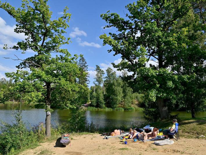 Ferienhaus für 4 Personen, mit Terrasse und Sauna sowie Garten und Seeblick, mit Haustier in Sachsen-Anhalt