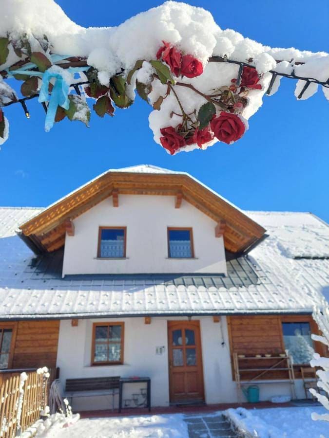 Al sentiero di Charly in Tarvisio, Karnischer Hauptkamm