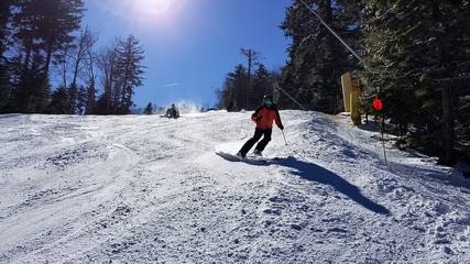 Vacation Apartment for 6 Guests in Snowshoe, Blue Ridge Mountains, Picture 2