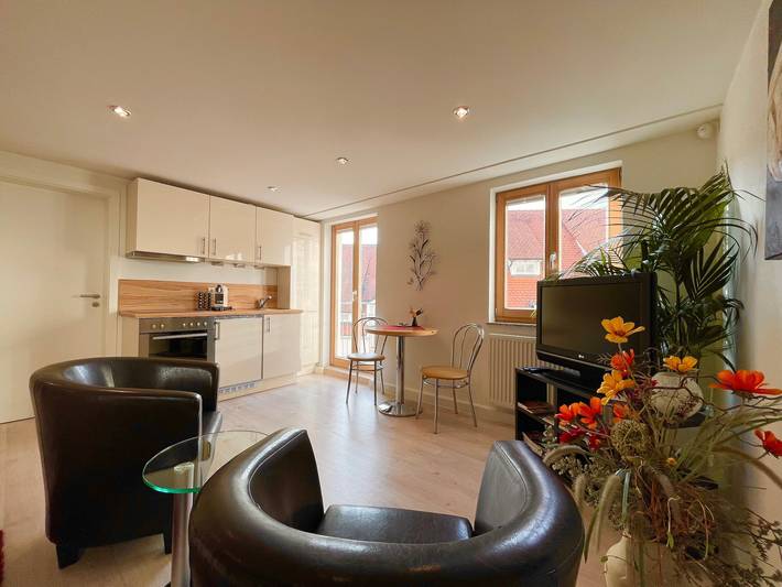 Hel lejlighed, Apartment Am Schloss with Private Terrace and Wi-Fi in Sigmaringen, Region Bodensee-Oberschwaben