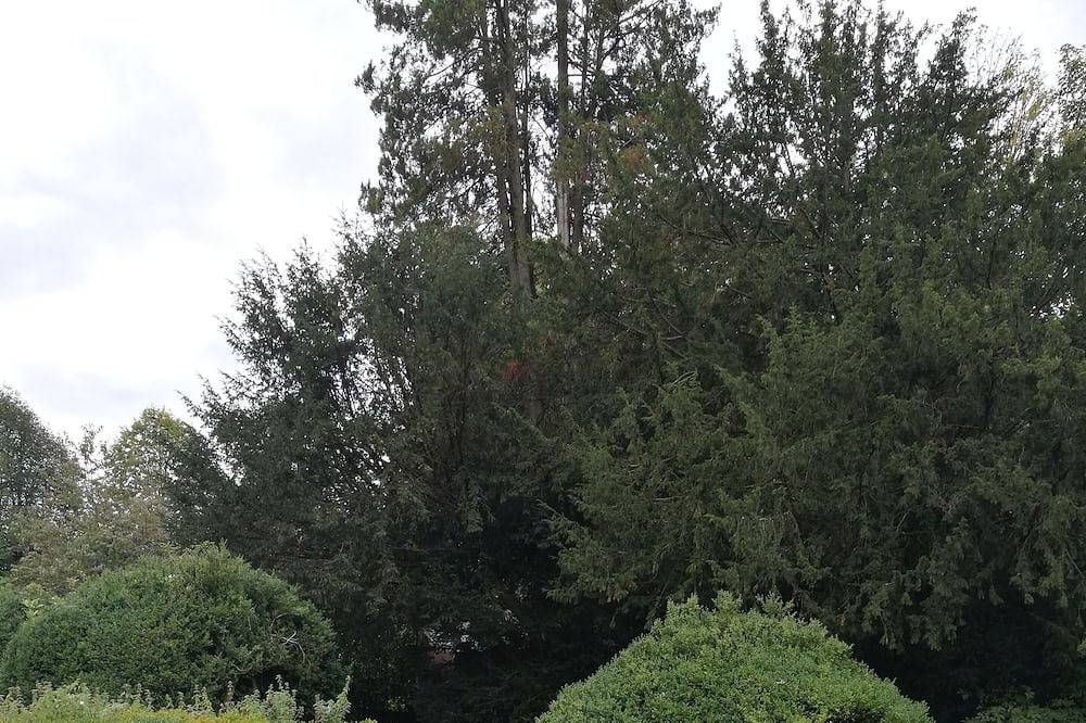 Château magnifiquement restauré dans les Ardennes pour 12 adultes (16 pers) in Cul-des-Sarts, Couvin