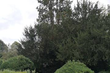 Castello per 10 Persone in Couvin, Vallonia, Foto 4