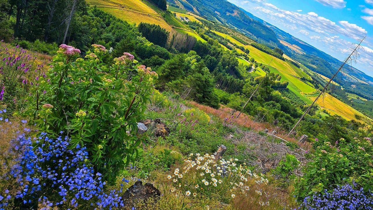 Apartamento vacacional entero, Ferienwohnung für 3 Personen (50 m²) in Bestwig in Bestwig, Hochsauerlandkreis