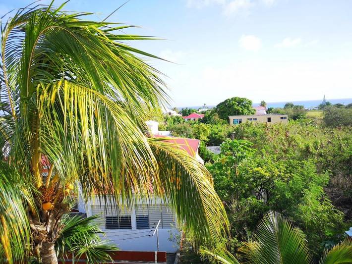 Maison d’hôte pour 6 personnes, avec jardin et terrasse dans Marie-Galante - 2