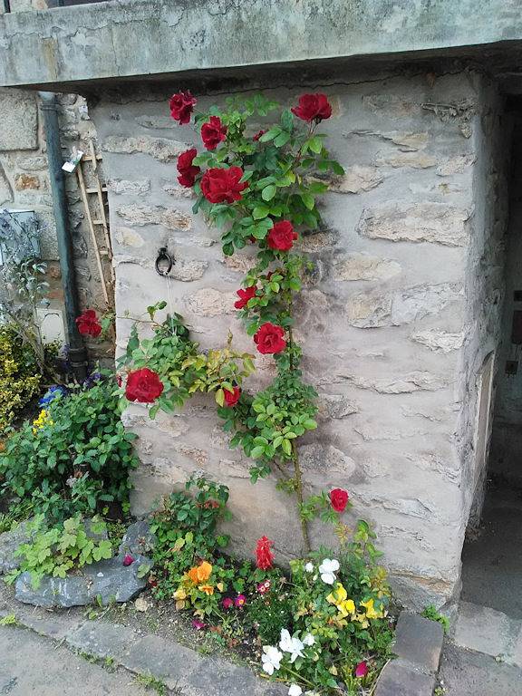 Location de vacances pour 6 personnes, avec jardin, animaux acceptés dans la Sarthe - 3