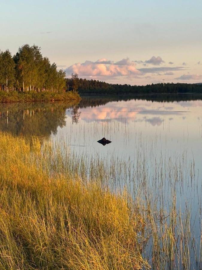 Location de vacances pour 8 personnes, avec vue et jardin ainsi que vue sur le lac et sauna à Jokkmokk - 4