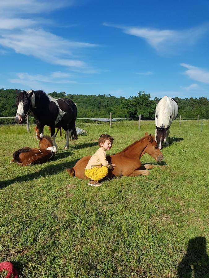 Location de vacances pour 4 personnes, avec piscine et vue ainsi que vue sur le lac et jardin à Capdrot - 4