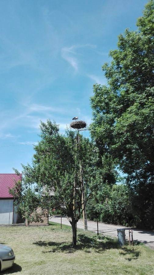 Domek blisko Biebrzy in Podlasie