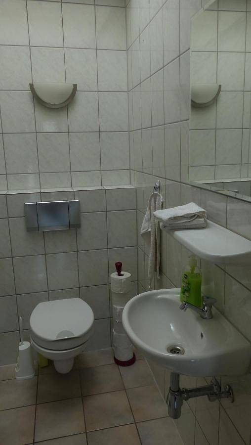 Ganze Wohnung, Oase im Herzen von Grünstadt in Grünstadt, Saar-Nahe-Bergland