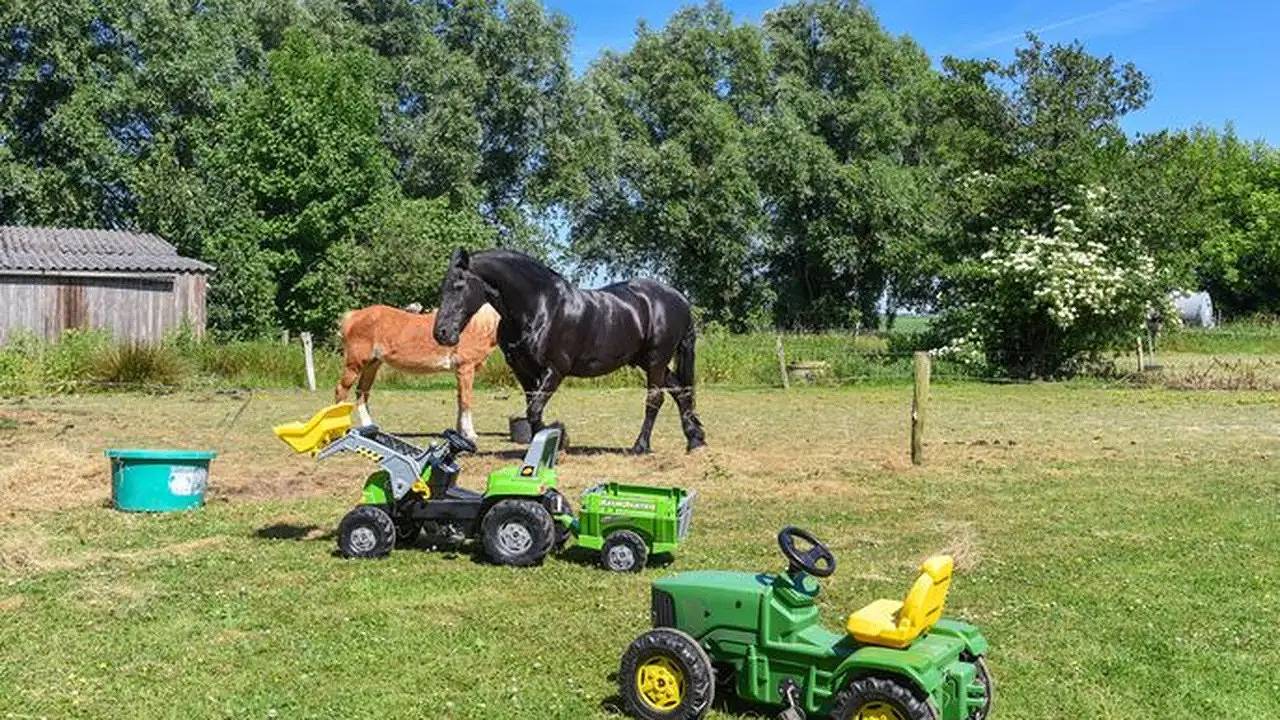 Ganze Ferienwohnung, Ferienwohnung für 4 Personen (65 m²) in Westbense in Esens, Landkreis Wittmund