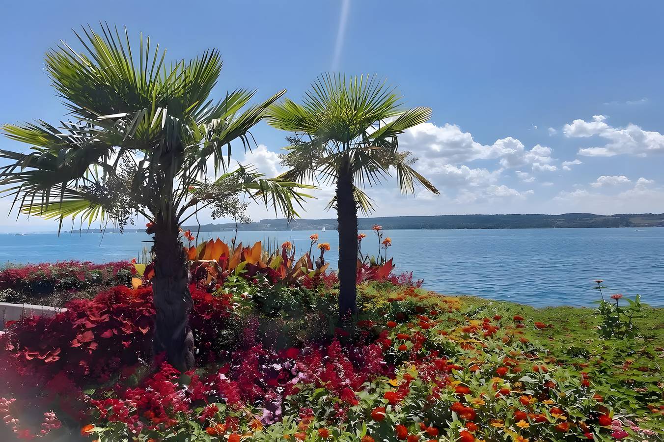 Entire apartment, Wonderful Holiday Home Vacation Rental in Überlingen, Obersee (Bodensee)