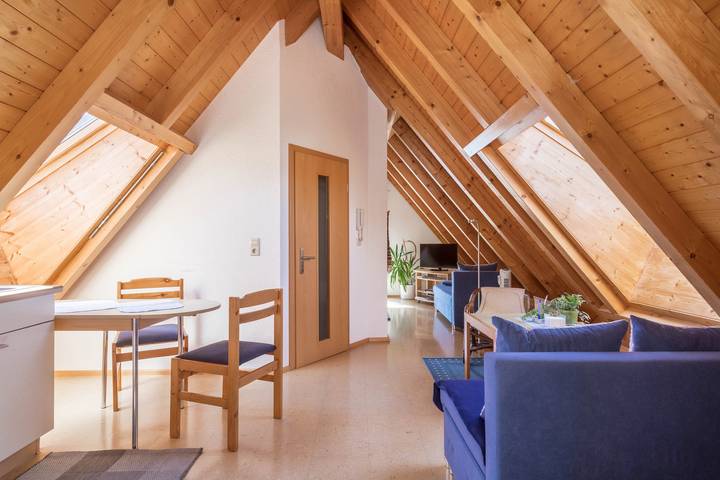 Hel lejlighed, Cosy Attic Apartment “Haus Sonnenschein” with Wi-Fi, Terrace & Garden in Eriskirch, Region Bodensee-Oberschwaben