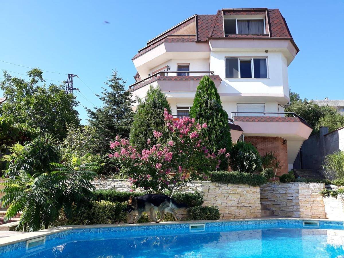 Vacation Home Seadream in Warna, Obwód Warna