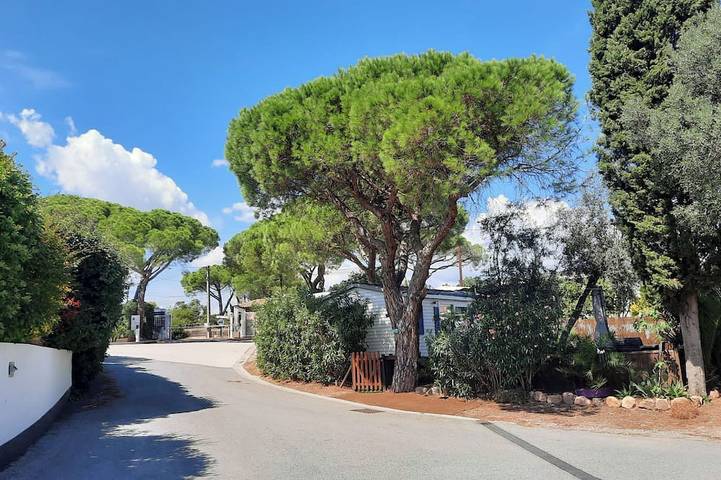 Camping pour 6 personnes à Puget-sur-Argens - 4