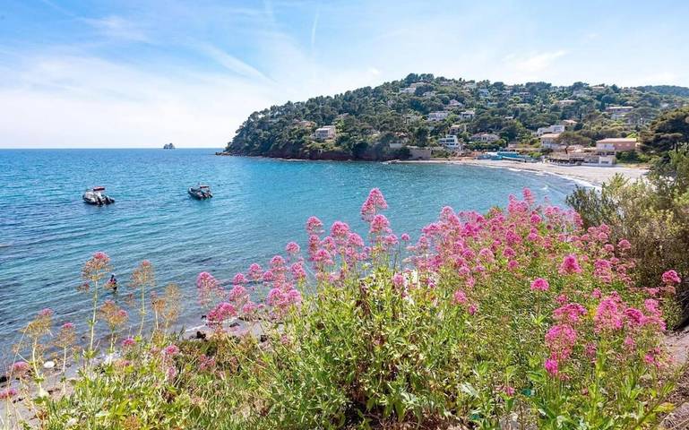 Location de vacances pour 6 personnes, avec jardin dans Plage Fabrégas - 3