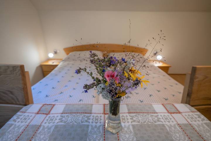 Pension für 3 Personen, mit Balkon und Garten sowie Seeblick und Ausblick in Kärnten - 4