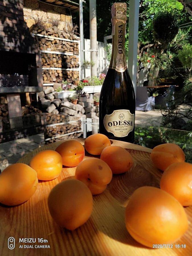 Dom gościnny dla 2 osób, z ogród w Odessa