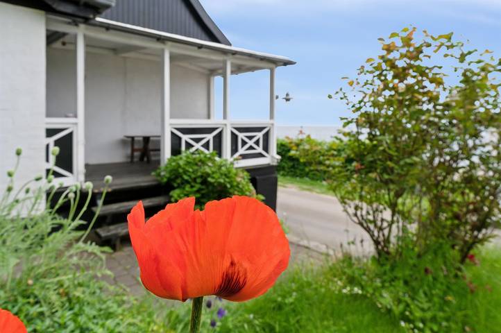 Ferienhaus mit Meerblick für 6 Personen, mit Terrasse, mit Haustier auf Bornholm - 3