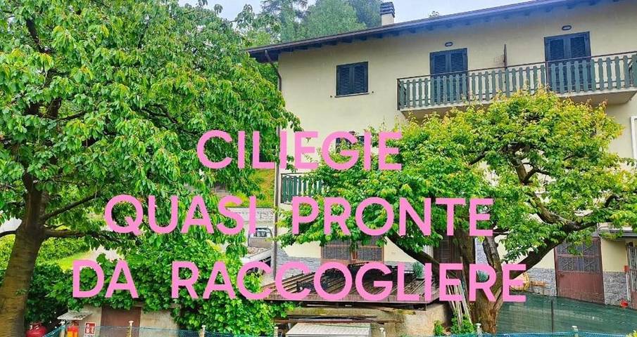 Hôtel pour 2 personnes, avec jardin à Teglio