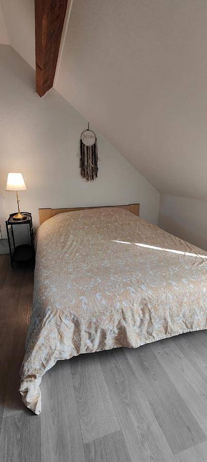 Appartement entier, One-Bedroom Apartment in Fougères, Fougères-Vitré