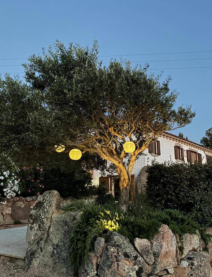 Chambre d’hôte pour 2 personnes, avec Terrasse et Jardin à Luogosanto