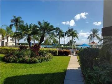 Apartment for 2 Guests in Isla del Sol, St. Petersburg (FL), Picture 4