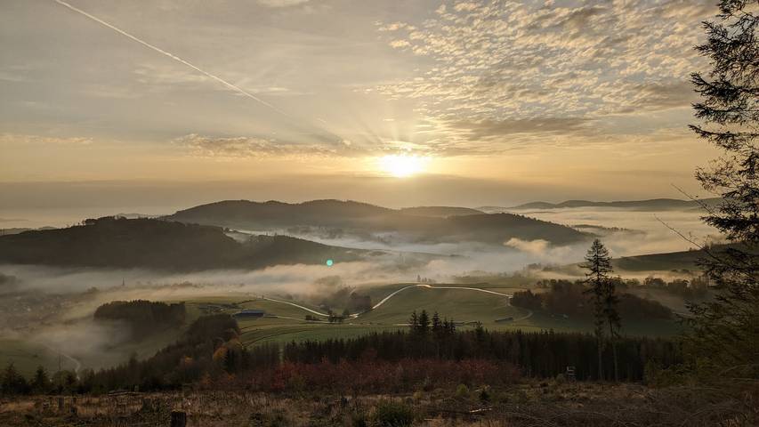 Ferienhaus für 4 Personen, mit Balkon und Balkon/Terrasse in Bad Berleburg - 4